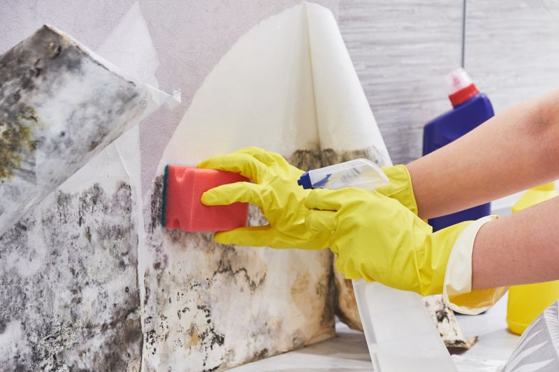 Air Duct Mold Removal in Dallas, TX