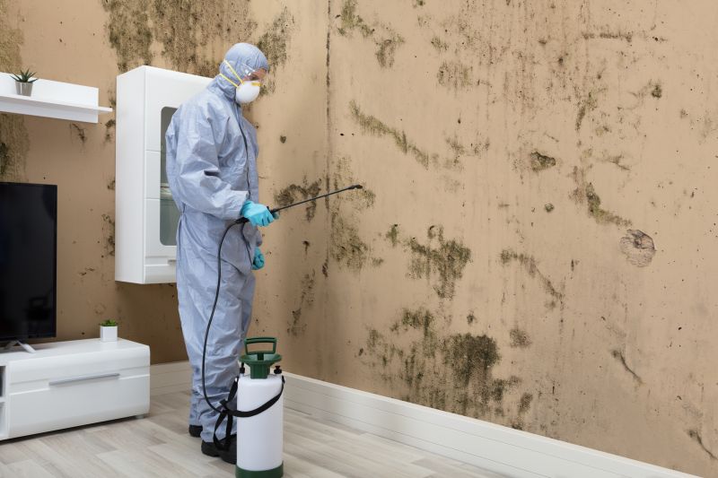 Black Mold Removal in Delray Beach, FL