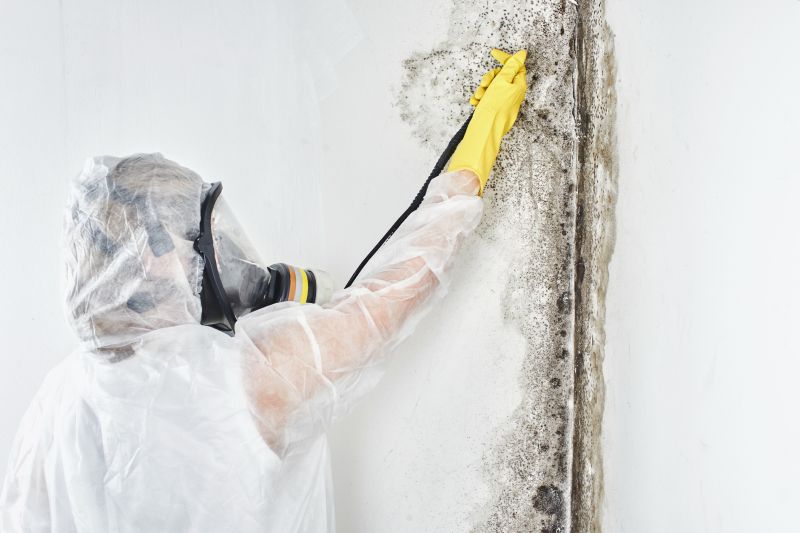 Black Mold Removal in Palm Beach County, FL