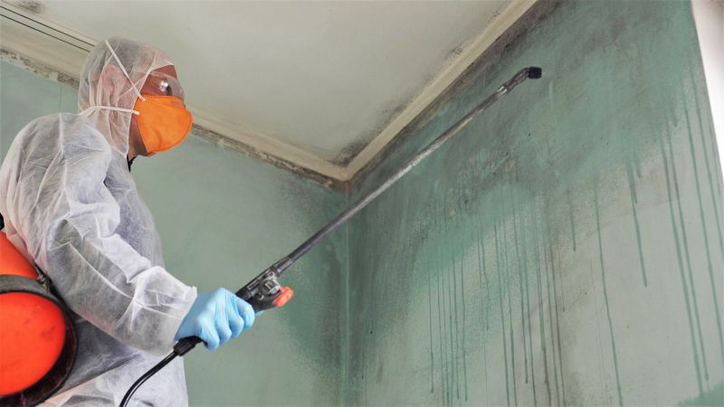 Garage Mold Remediation in Dallas, TX