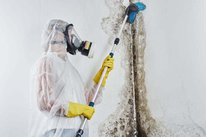 Garage Mold Remediation in Bergen County, NJ