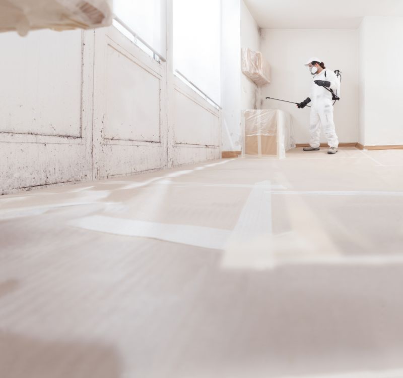 Mold Removal in Fort Lauderdale, FL