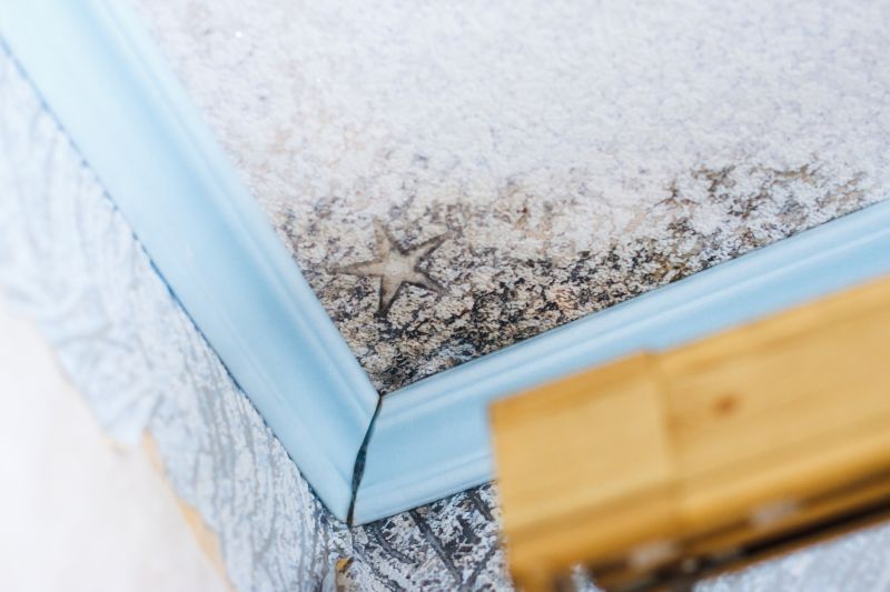 Mold Restoration in Essex County, NJ