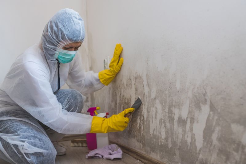 Basement Mold Removal in Broward County, FL