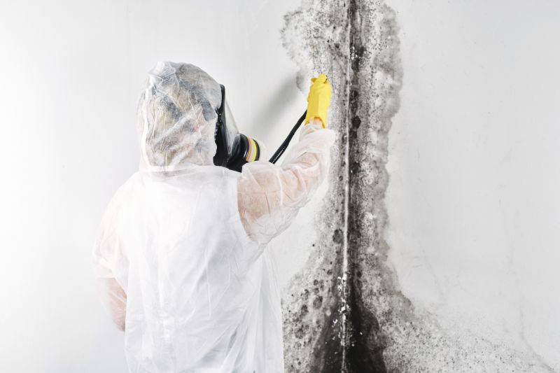 Black Mold Remediation in Fort Lauderdale, FL