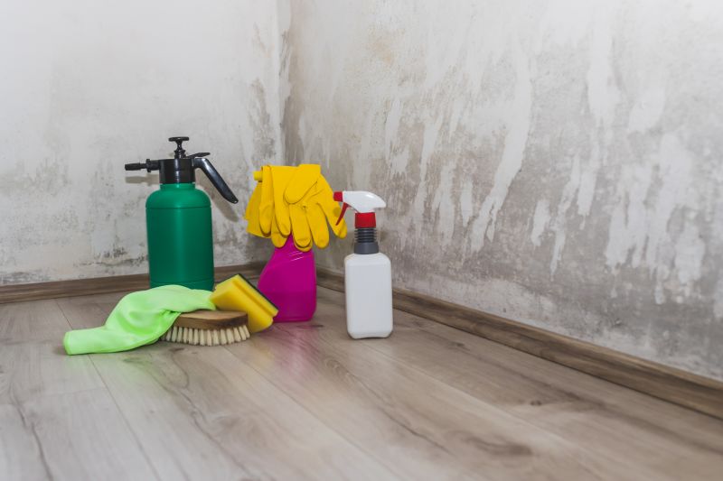 Crawlspace Mold Remediation in Broward County, FL