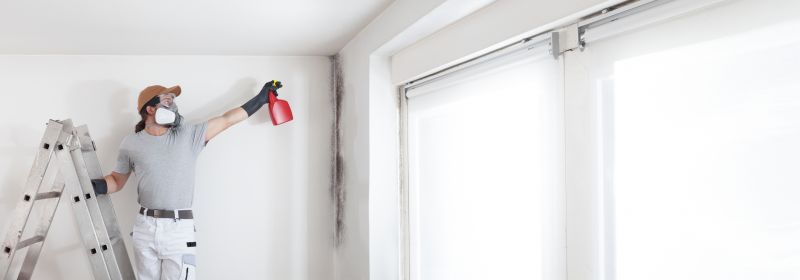 Garage Mold Remediation in Fort Lauderdale, FL
