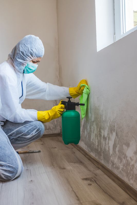 Mold Treatment Service in Dallas, TX